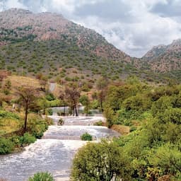 Taif & Al Baha Thumb 4